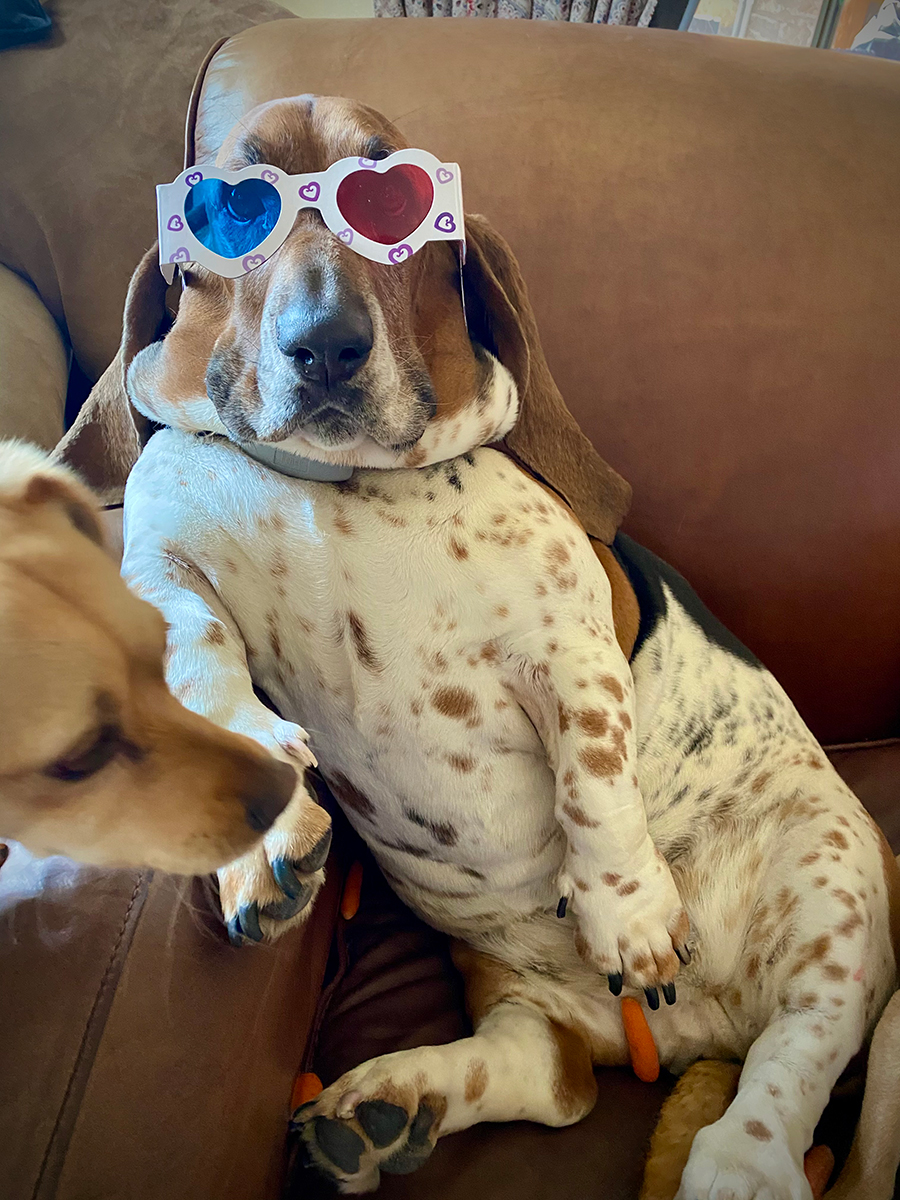 Queen Lucy, © Shelly Arroyo