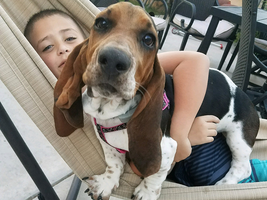 Hammock Lucy, 2018. © Shelly Arroyo