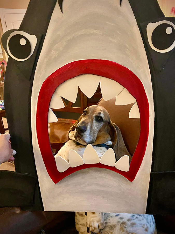 Shark bait 2. © Shelly Arroyo